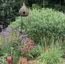 Garden for birds